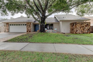 1110 Bramblewood Dr, Safety Harbor, FL 34695