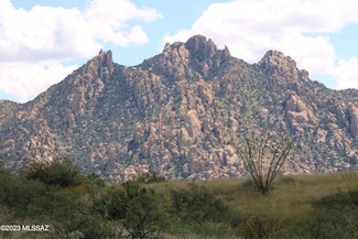 M167 N Fox Hollow Ln Unit LOT 167, St. David, AZ 85630