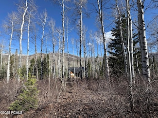 663 Red Fir Way, Oakley, UT 84055