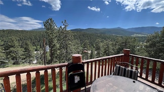 303 Virginia Rd Unit E, Bailey, CO 80421