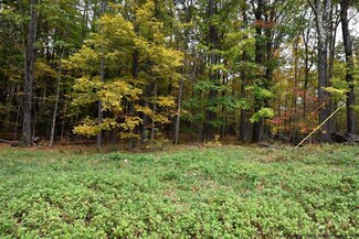 TBD Grove St, Cairo, NY 12413