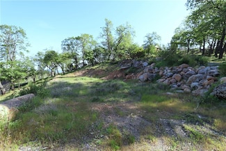 12030 Shenandoah Rd, Loch Lomond, CA 95461