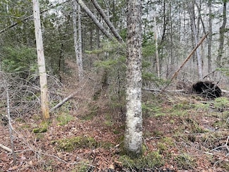 225 Priest Rd, Northport, ME 04849