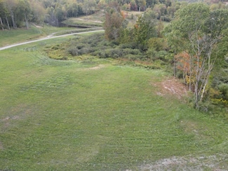 Lot 1 Island Rd, Junior, WV 26275