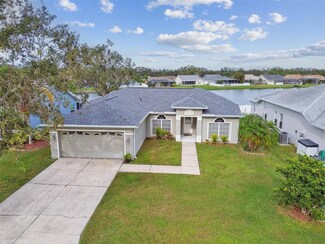 11814 Colyar Ln, Parrish, FL 34219