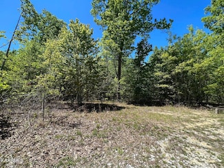 0 Lot F McCartt Ridge Ln Unit 11325922, Sunbright, TN 37872