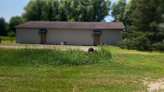 0 Deckerville Deckerville Rd, Cass City, MI 48726