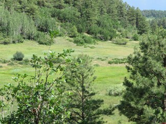 468 Appaloosa Cir, Pagosa Springs, CO 81147