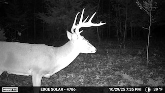 0 Tbd Varvel Rd, Willow Springs, MO 65793