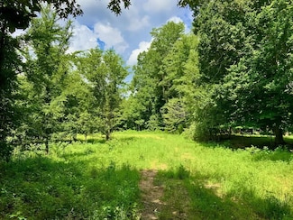 806 Pettijohn Creek, Henry, TN 38231