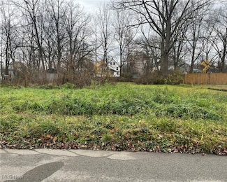 454 Vine Ave NE, Warren, OH 44483