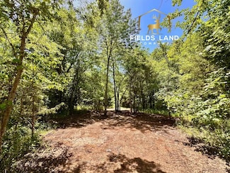 0 Choctaw County E 2030 Rd Unit 23656174, Hugo, OK 74743