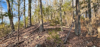 255 Todd Ln, Mountain City, TN 37683