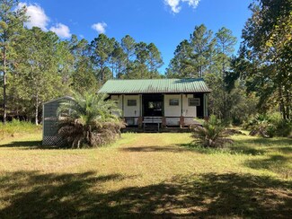 32389 SE Palmetto Ct, Bristol, FL 32321
