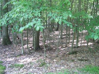 177 Blue Bird Ct, Paupack Township, PA 18436