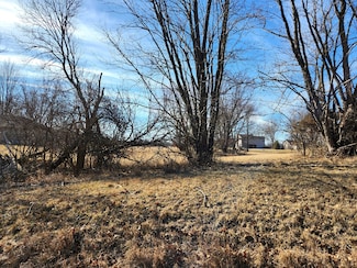 Lot 646 Lake Wildwood Dr, Varna, IL 61375