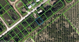 2279 N Lanier Blvd, Avon Park, FL 33825