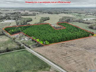45 acres County Road 497, Lexington, AL 35648