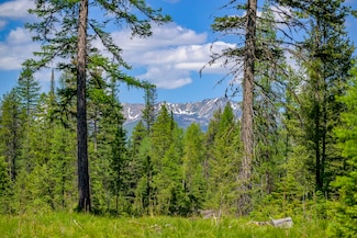 Nhn Lindbergh Lake Rd, Condon, MT 59826