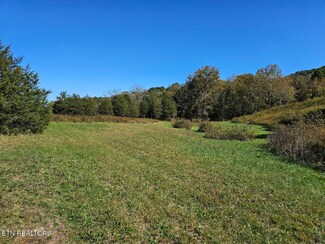 0 Shoreline Vista Unit 1294108, Sharps Chapel, TN 37866