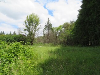 747 Jorgensen Rd, Onalaska, WA 98570