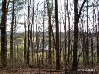 00 Ray Hill Rd, Horse Shoe, NC 28742