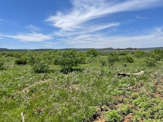 0 Tbd Cr 343, Merkel, TX 79536