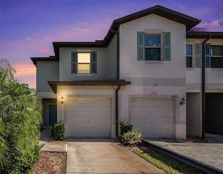 4435 Globe Thistle Dr, Tampa, FL 33619