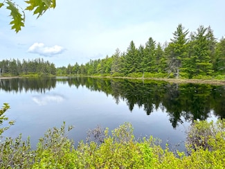 6085 N Laurie Lakes Rd Unit 6085, Paradise, MI 49768