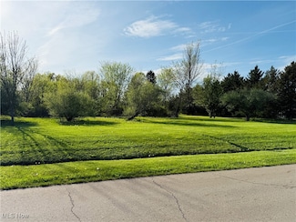 49632 Foxwood Dr, East Palestine, OH 44413
