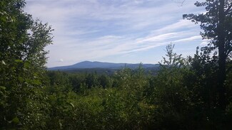 0 Meadow Rd Unit Lot 42 4834583, Newbury, NH 03255