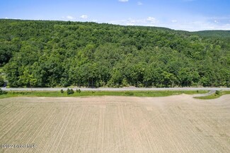 0 Clarksville Rd S Unit 202220732, New Scotland, NY 12041