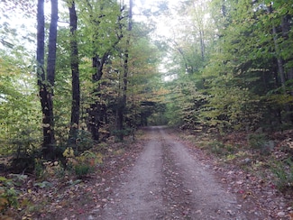 Lot#R13L50 Corn Hill Rd, Brownfield, ME 04010