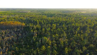 0 Porter Rd, Lake Park, GA 31636