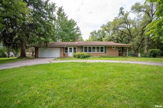 5353 N Big Hollow Rd, Peoria, IL 61615