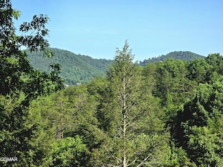 2011 Ridgecrest Loop Ln, Sevierville, TN 37876