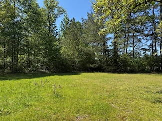 000 Bogue Chitto Rd, Bogue Chitto, MS 39629