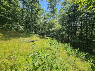 225,312, 322 Aaron Ridge Rd, Louisa, KY 41230