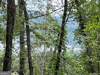 LOT 1 Buena Vista Ln, Hayesville, NC 28904