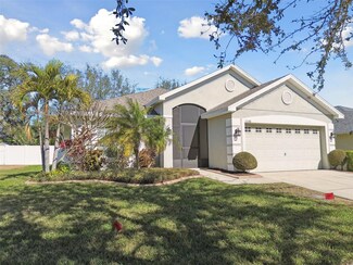 11140 Irish Moss Ave, Riverview, FL 33569