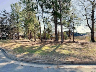 1226 Dreamcatcher, Tyler, TX 75703