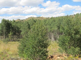 199 Opal Dr Unit 11, Hartsel, CO 80449