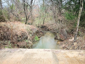 56.7 Acres County Road 30, Magnolia, AL 36754