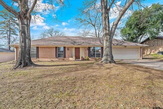 9305 Irish Moss Dr, Tyler, TX 75703