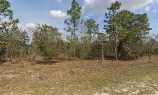 00 SW 81st St, Dunnellon, FL 34432