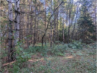 8xx 97th Street St, Amery, WI 54001