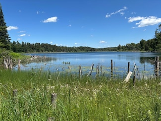 13102 Seaberg Ln, Bagley, MN 56621