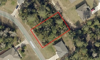 00 SW 161st Loop, Ocala, FL 34473