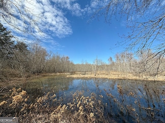 0 White Springs Rd Unit 10508274, Dry Branch, GA 31020