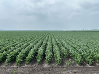 0 George Duty Rd, Damon, TX 77430